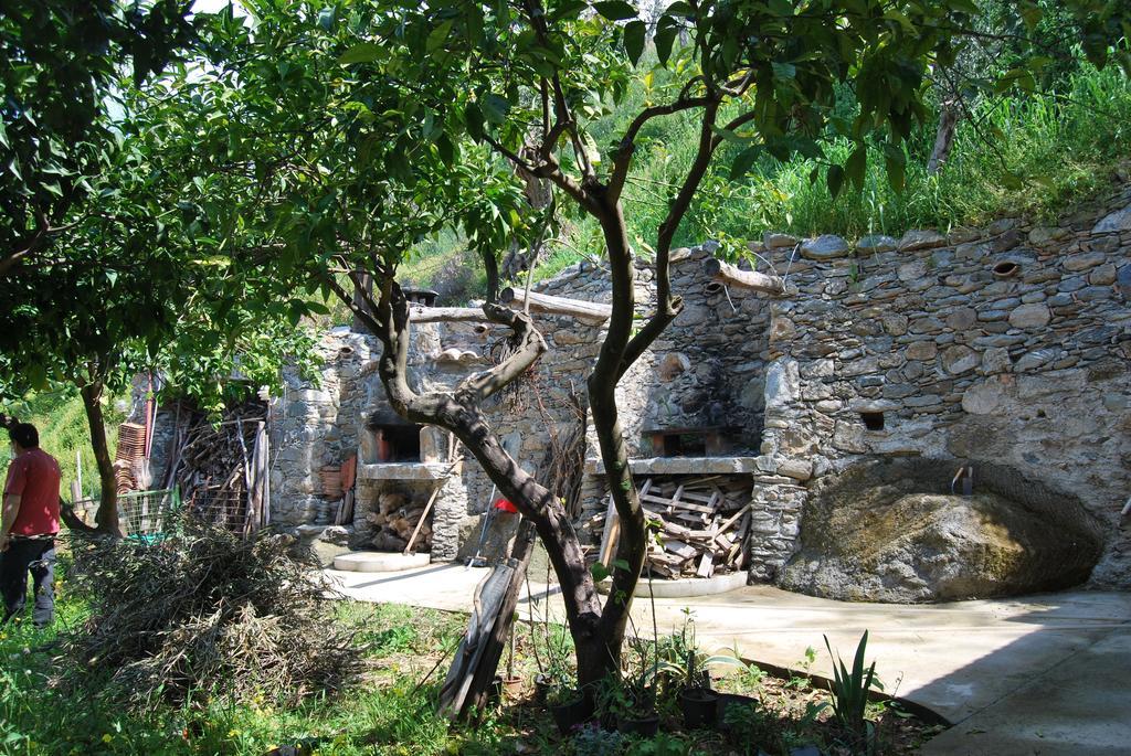 Al Melograno B&B Belmonte Calabro Oda fotoğraf