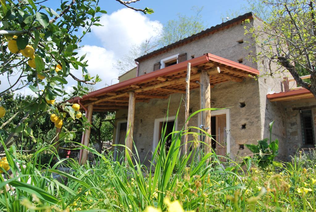 Al Melograno B&B Belmonte Calabro Dış mekan fotoğraf