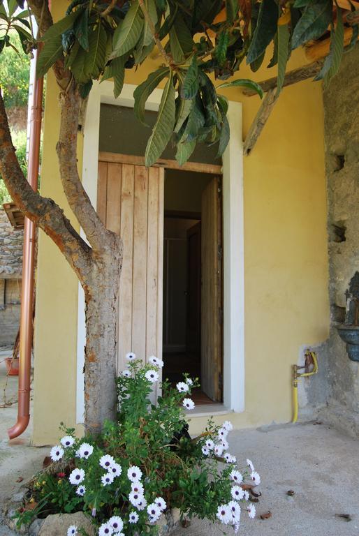 Al Melograno B&B Belmonte Calabro Dış mekan fotoğraf