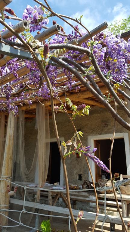 Al Melograno B&B Belmonte Calabro Dış mekan fotoğraf
